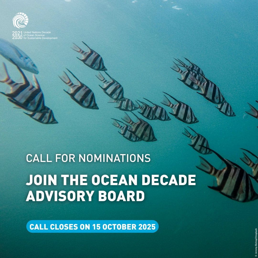 UN Ocean Decade tweet media