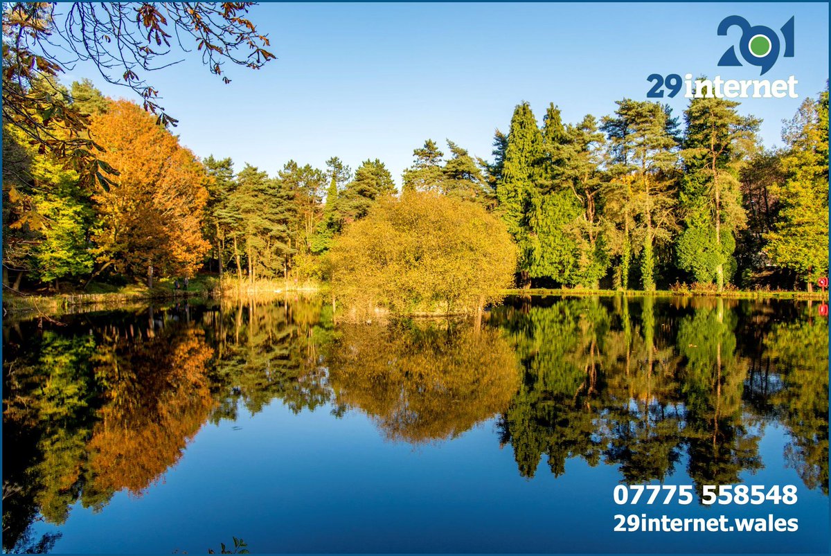 29internet tweet media