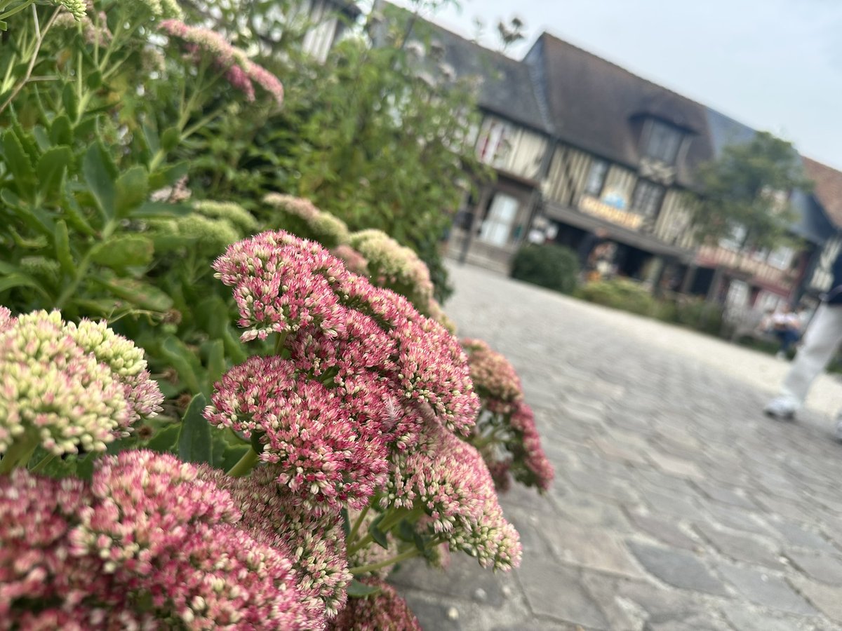 トイレ休憩で、フランスの最も美しい村の１つ、ブブロン村に立ち寄りました！

トイレは…ギリギリセーフ。
よかった〜！