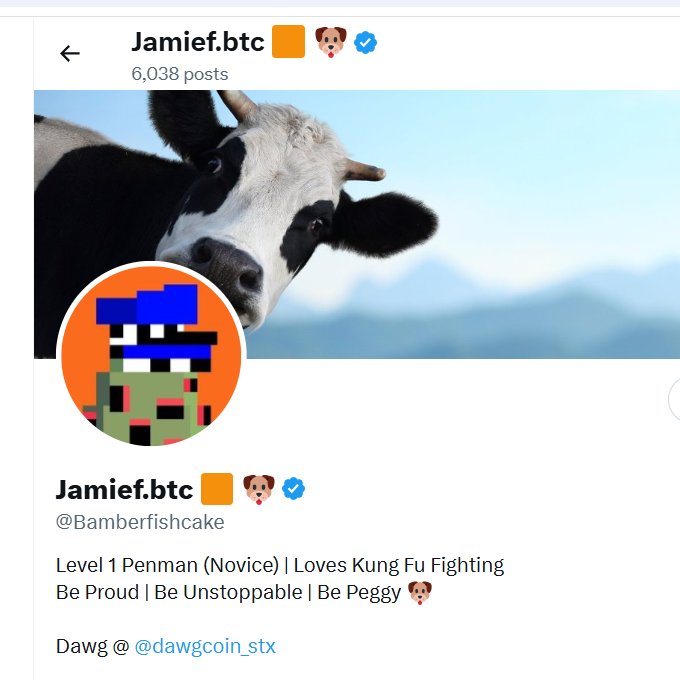 Jamief.btc 🟧 🐶 tweet media