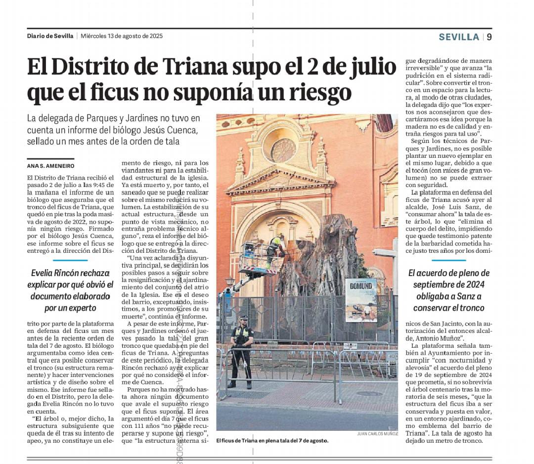 SevillaSeMuere's tweet photo. Esto es gravísimo 👇👇👇
@diariosevilla @alamedera @ficussanjacinto https://t.co/EFp5QMHYRQ