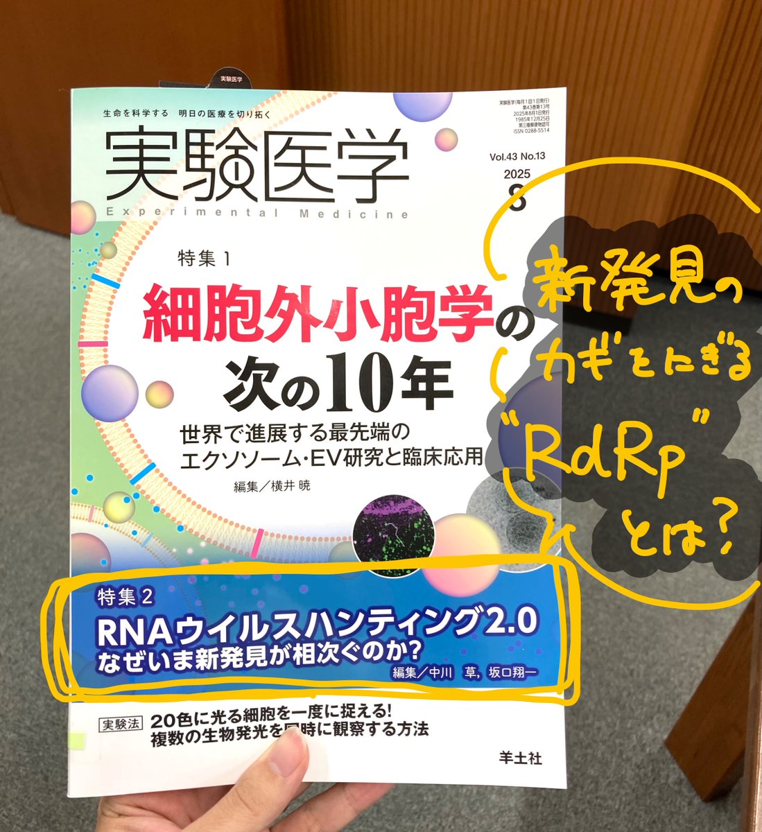 実験医学 05年6月号 23ー10 実験医学 05年6月号 23ー10 実験医学 05年6月号 23ー10（医学