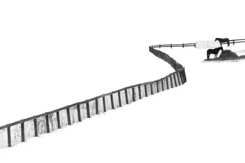 #Photo minimaliste de toute beauté signée Ivan Huang...