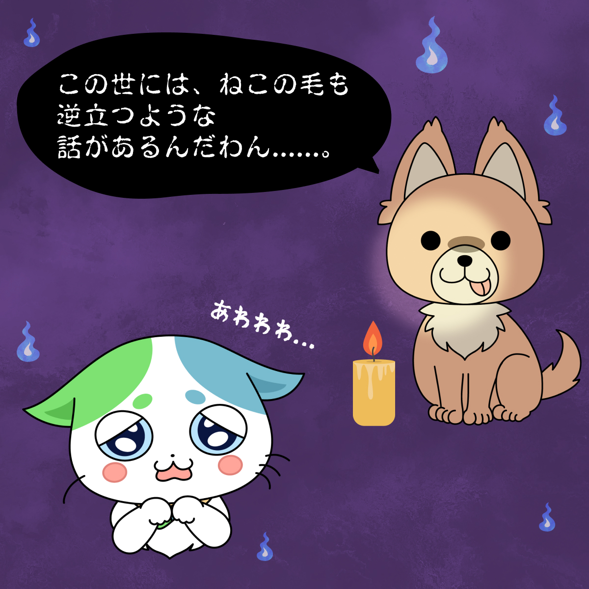 全国20名限定当選品 第一三共 ヘルスケア ねこいちさん ぬいぐるみグッズセット ねこいちさん｜第一三共ヘルスケア