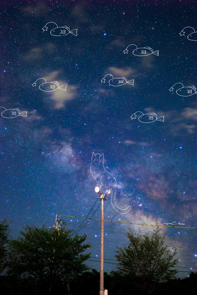 星が泳いだような夜だった