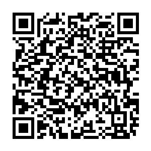 stepsmc's tweet image. 【予約開始のお知らせ📢】
こんばんは！
第67回本公演『DEAR』のチケット予約を開始いたしました！

《ご予約方法》
①写真のQRコードもしくは以下のリンクからSTEPS公式LINEを友だち追加

liff.line.me/1655301377-aQY…

②トーク画面メニュー内の「予約」タブを開いてお申込み