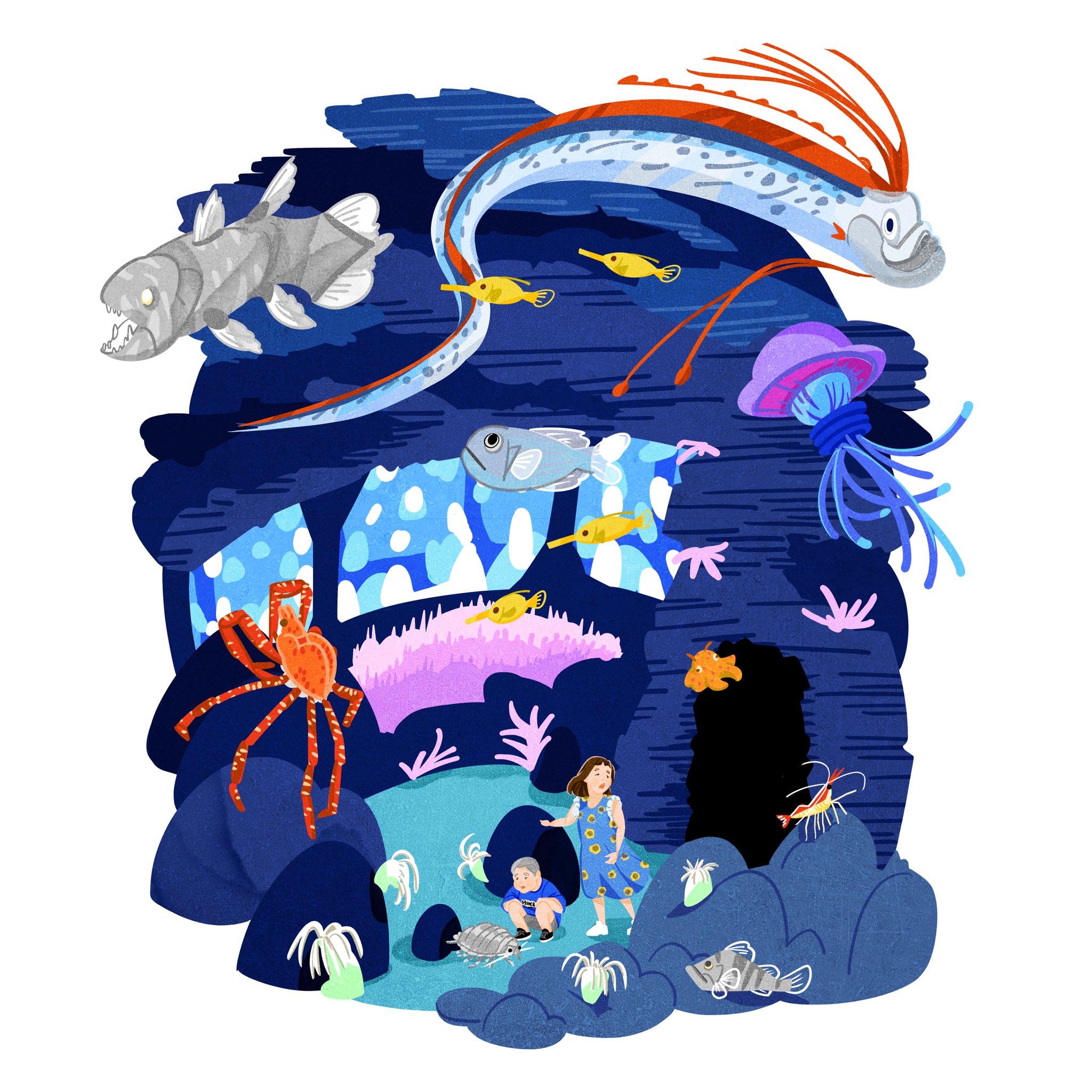 ◆Deep Sea~深海水族館館長室◆手描きイラスト ︎︎椙下聖海︎︎ on X: 