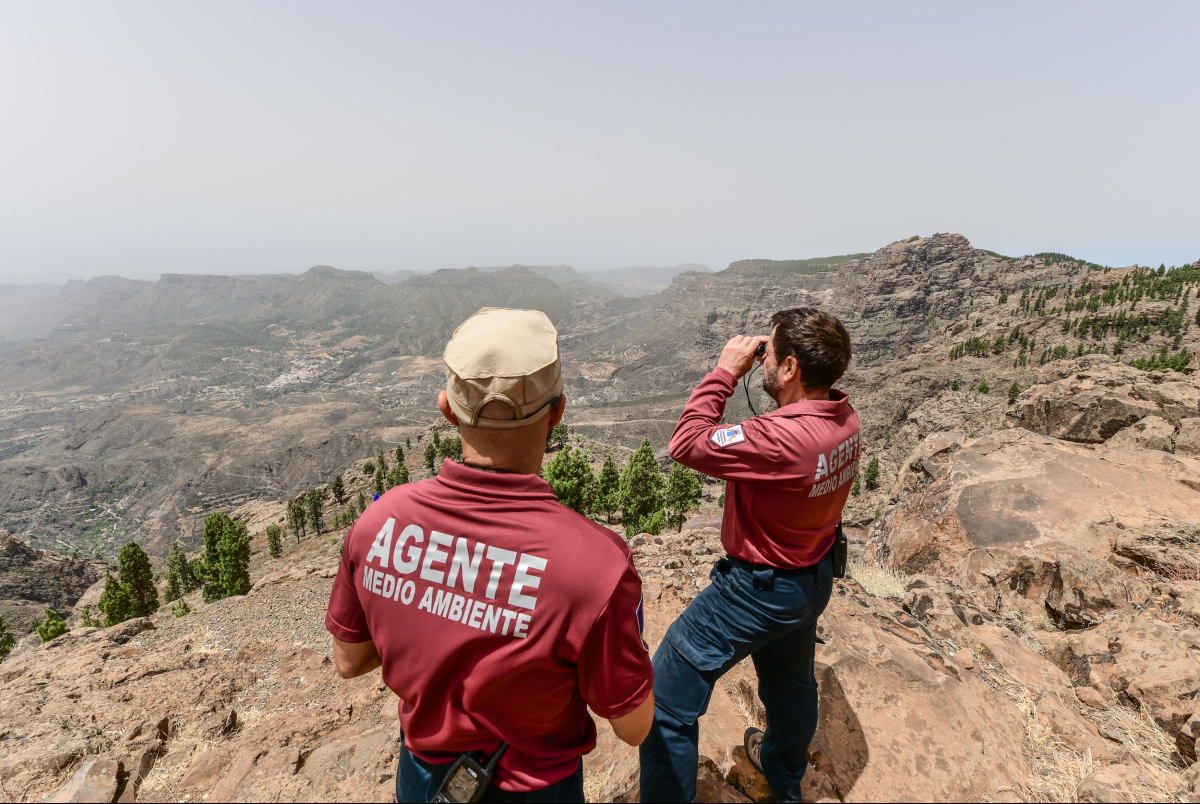 ⚠️Gran Canaria sigue en alerta máxima por riesgo de incendios forestales

En zonas por encima de los 400 metros, el calor acumulado y la gran cantidad de vegetación seca hacen que el peligro se mantenga alto. Se pide a la población máxima precaución y respetar las indicaciones👇: