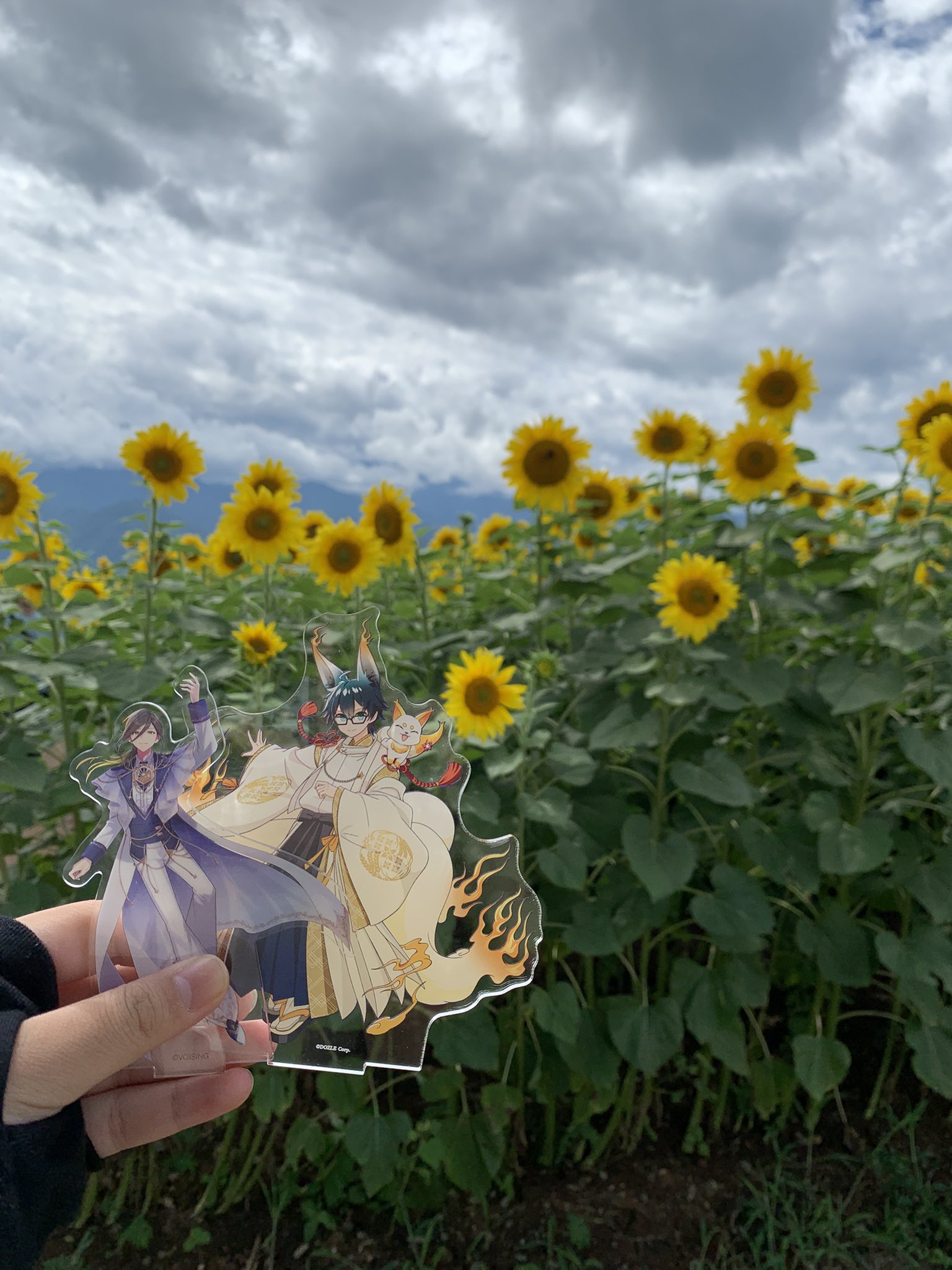mitukiさま専用 黄昏のひまわり畑ほか　3点おまとめ maruho-farm-sunflower-600x375.jpg