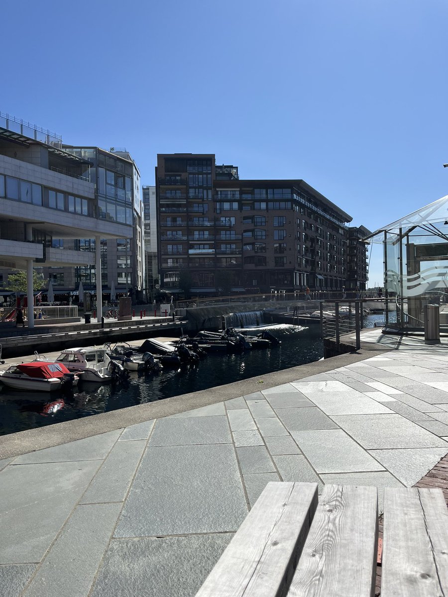 Mateja Sarac tweet media