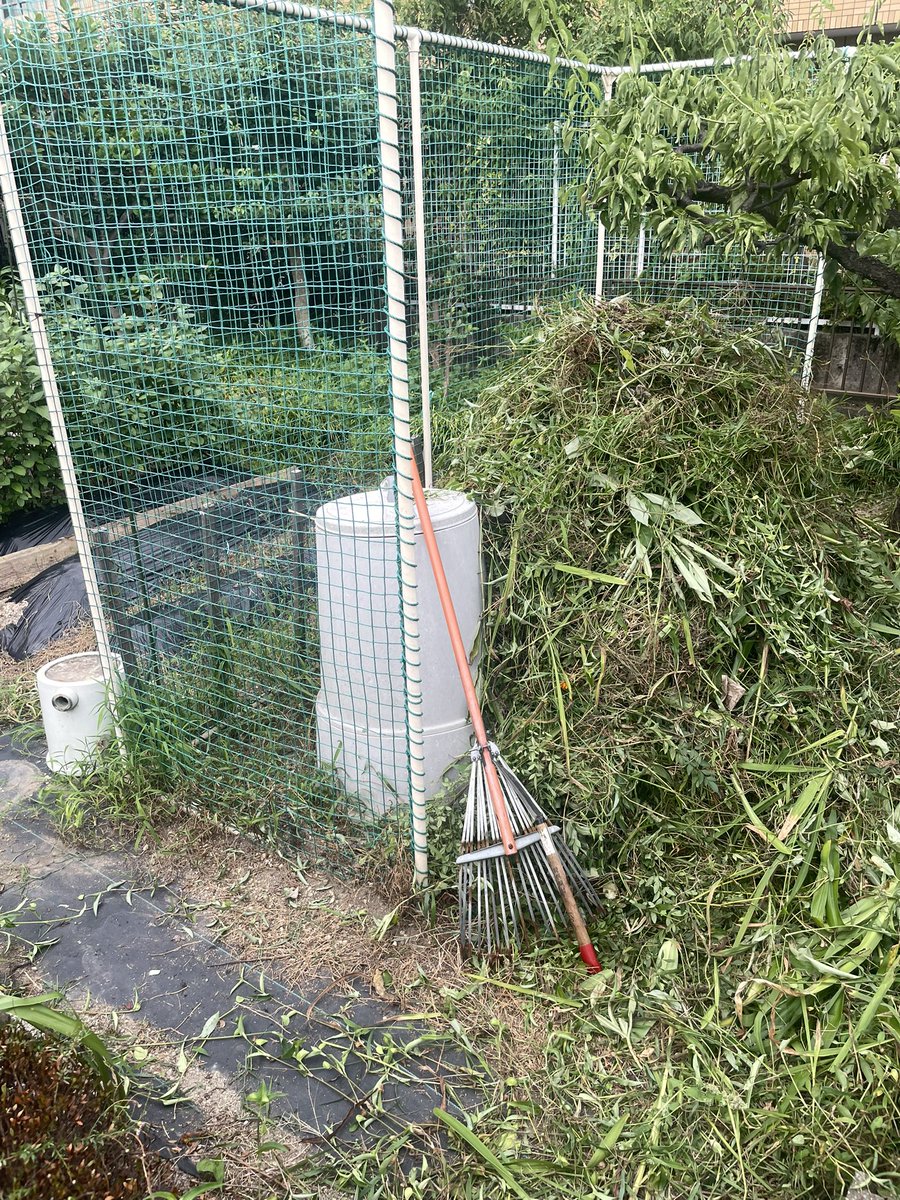 実家の草刈りをした。
雑草が繁ってめっちゃ羽虫が寄ってくる。
タオルを頭に巻いて熱中症間際までやり切った。
それでもしばらくしたらボーボーになるのにな。