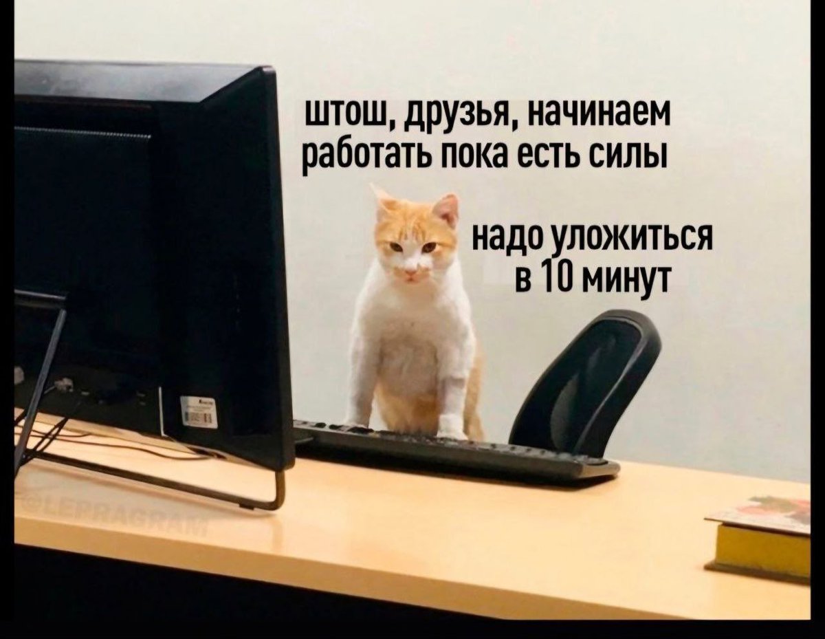 amorphefleur's tweet photo. @kapyccha https://t.co/EPZOVS2xpg