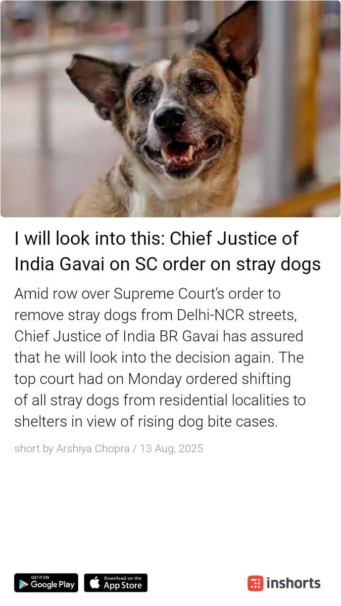 ramkgoel's tweet photo. So once again d ‘Elite Animal Lover lobby’ has won over d poor vulnerable children, Sr. citizens who can’t defend themselves against aggressive strays
Yet 2 see @TheJohnAbraham  @TandonRaveena  et al speaking for victims of dog bites or giving them even a word of support
#dogs https://t.co/dWretNfyib