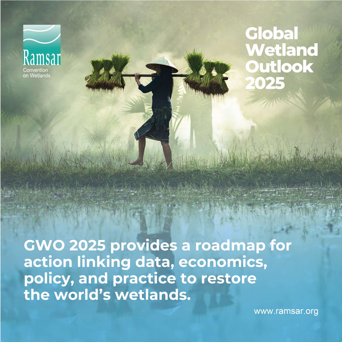 Convention on Wetlands tweet media