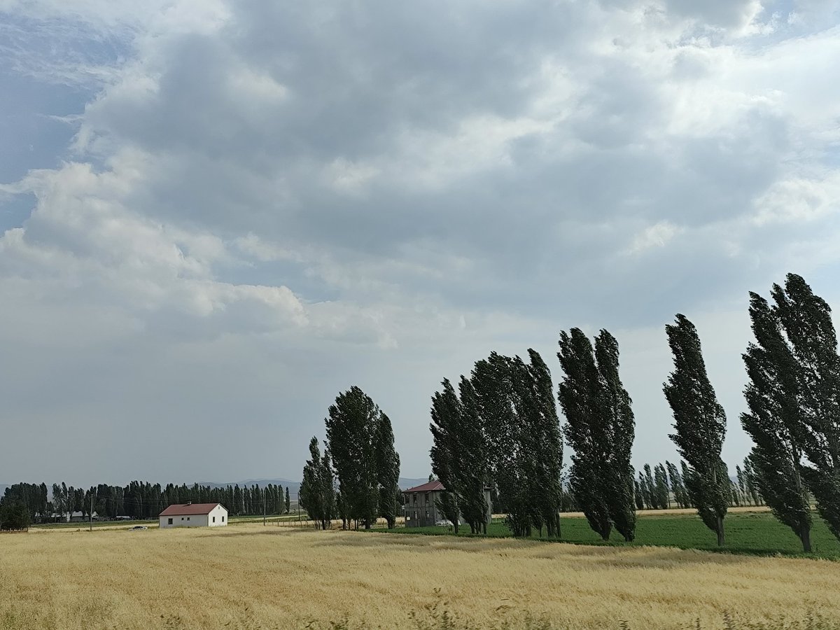 RumeysaAlada2's tweet photo. Her savaşı kazanamazsın.Kazandığın savaşta yok zaten... https://t.co/IND9Sfw2NC
