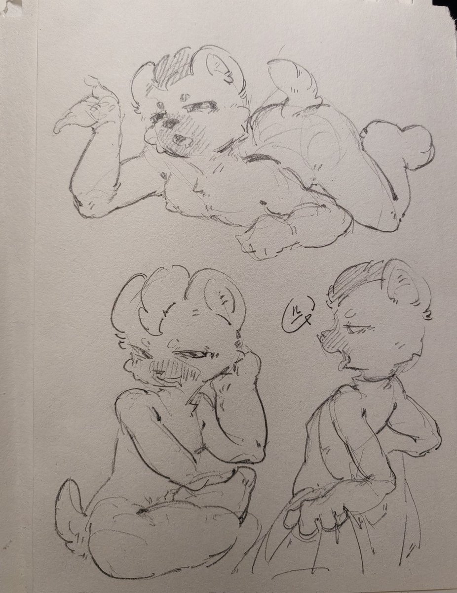 云幽岛的签绘！