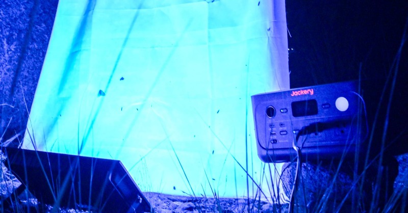 お盆休み、昆虫採集に出かけてみませんか？🪲 ポータブル電源でHID