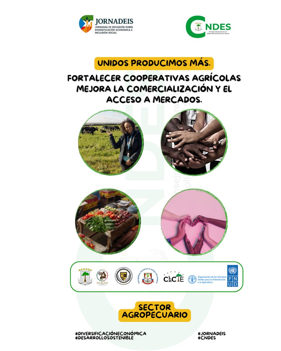 Unidos producimos más. Fortalecer cooperativas agrícolas mejora la comercialización y el acceso a mercados.

#JORNADEIS
#CNDES
#DiversificaciónEconómica
#DesarrolloSostenible