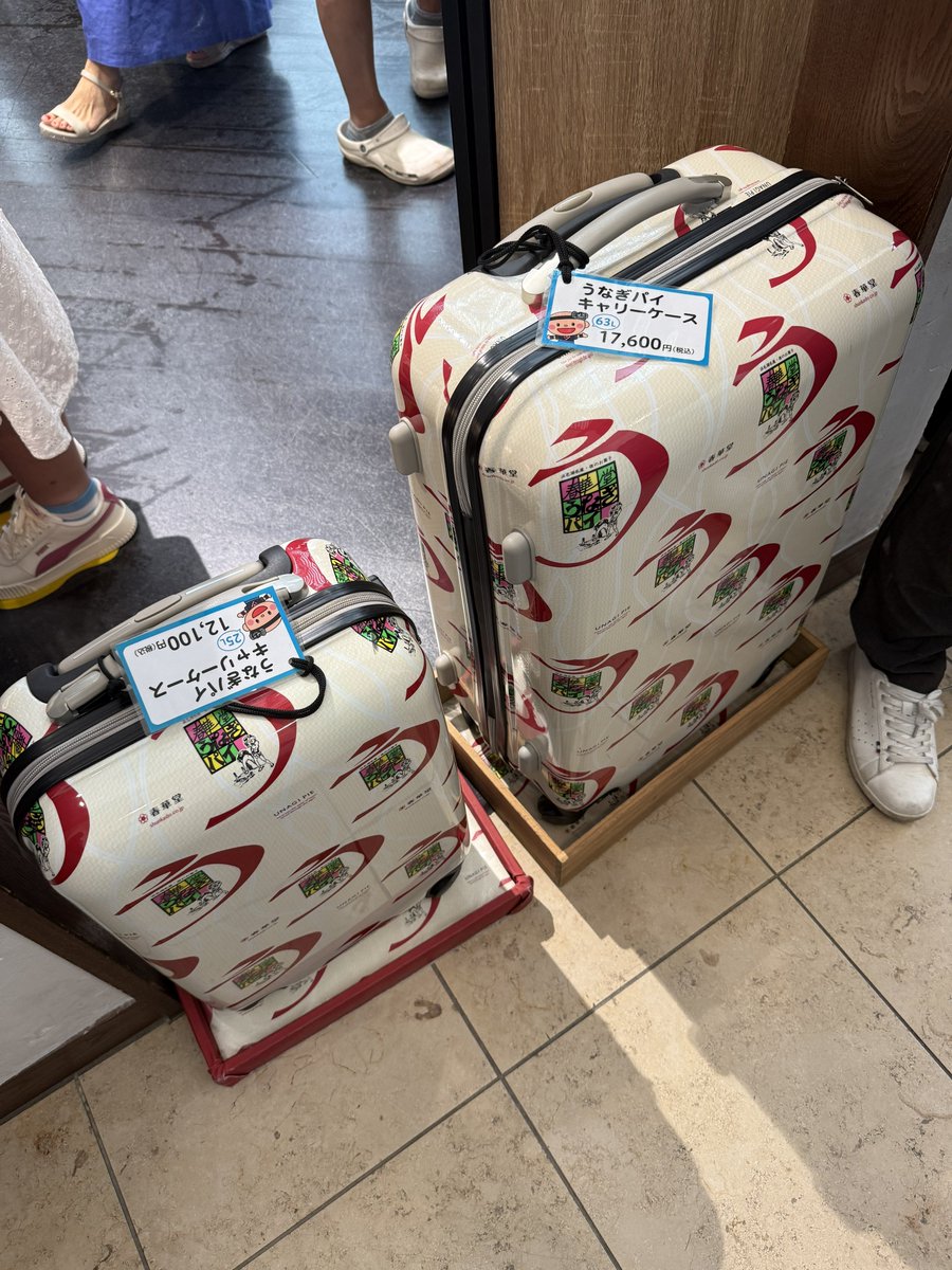 高品質，定番人気 うなぎパイキャリーケース 63リットル