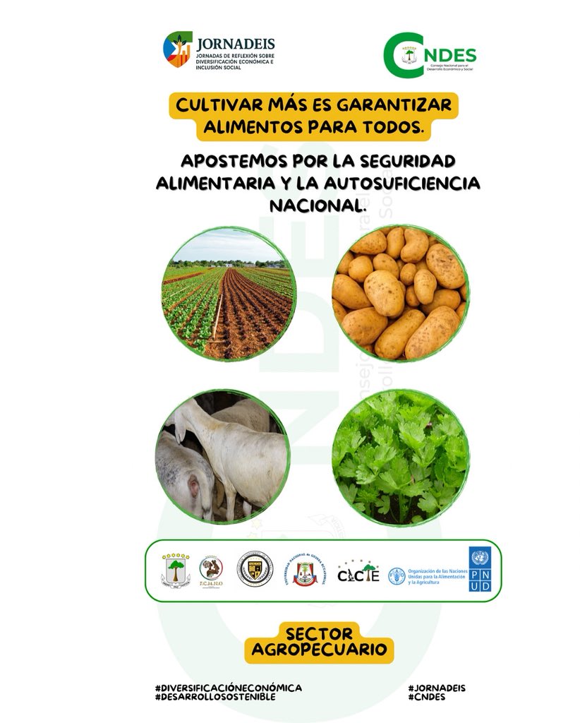 Cultivar más es garantizar alimentos para todos. Apostemos por la seguridad alimentaria y la autosuficiencia nacional.

#JORNADEIS
#CNDES
#DiversificaciónEconómica
#DesarrolloSostenible