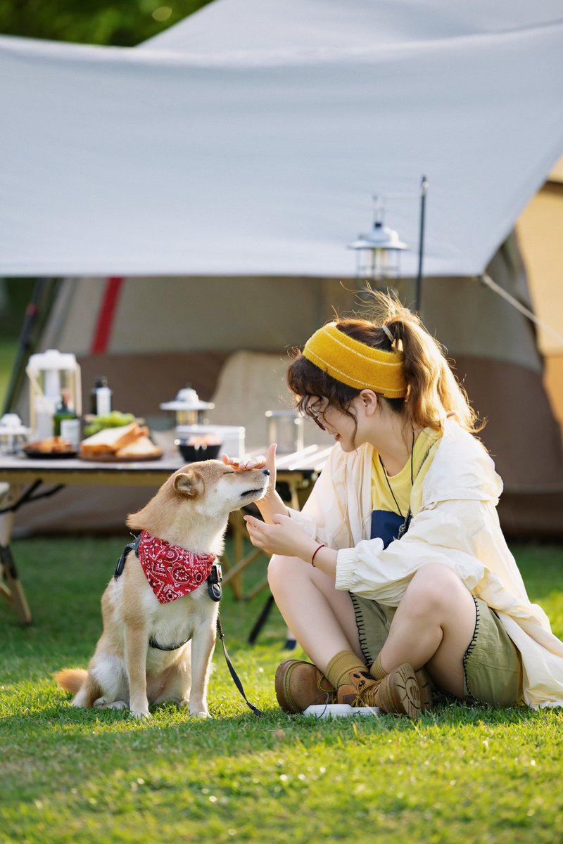 mobigarden_jp's tweet photo. キャンプの最高の相棒：
子犬とMobiGardenと心地よい時間 https://t.co/SrIuo0EiUy