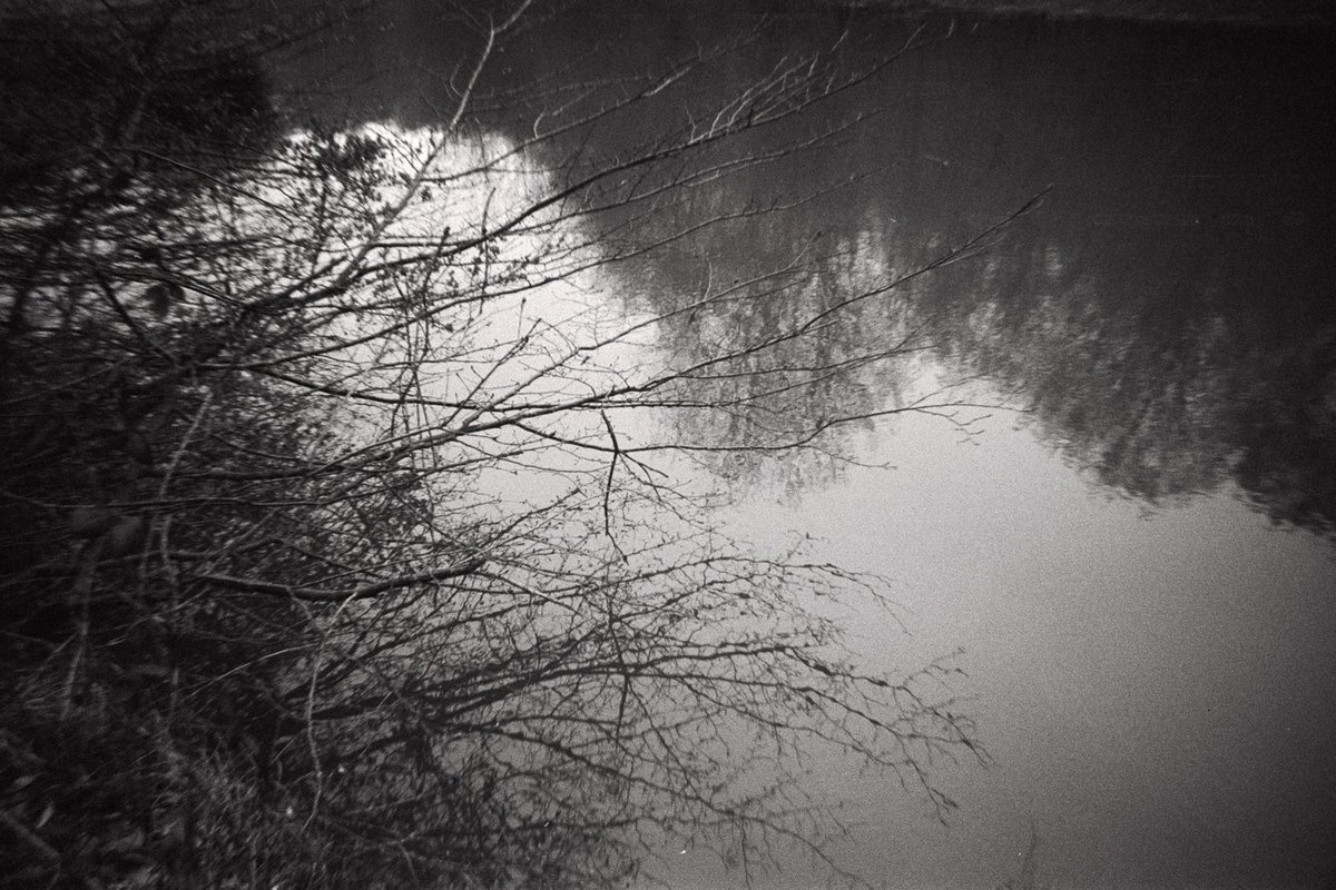 buseylmazzz's tweet photo. 📸 #analogphptography #filmnotdead https://t.co/FQm6fXa8My