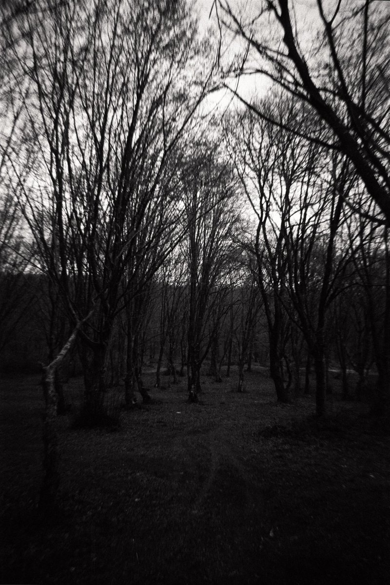 buseylmazzz's tweet photo. 📸 #analogphptography #filmnotdead https://t.co/FQm6fXa8My