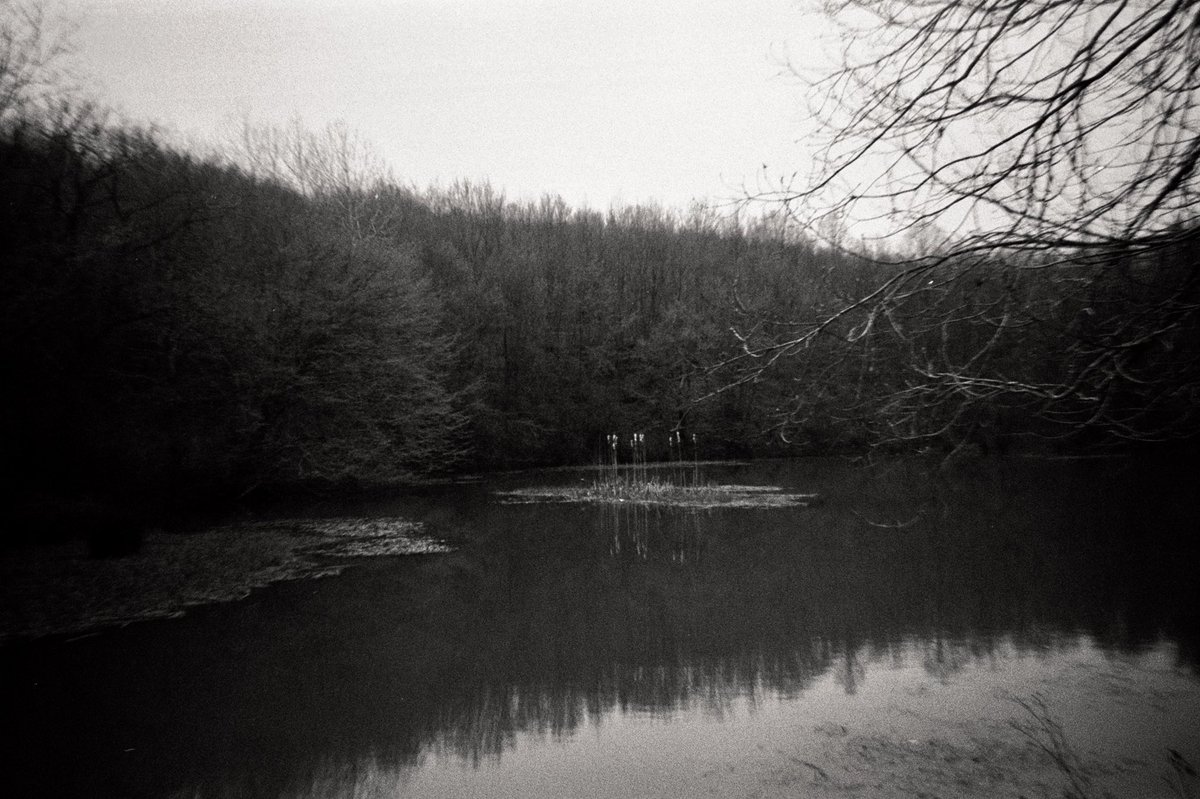 buseylmazzz's tweet photo. 📸 #analogphptography #filmnotdead https://t.co/FQm6fXa8My