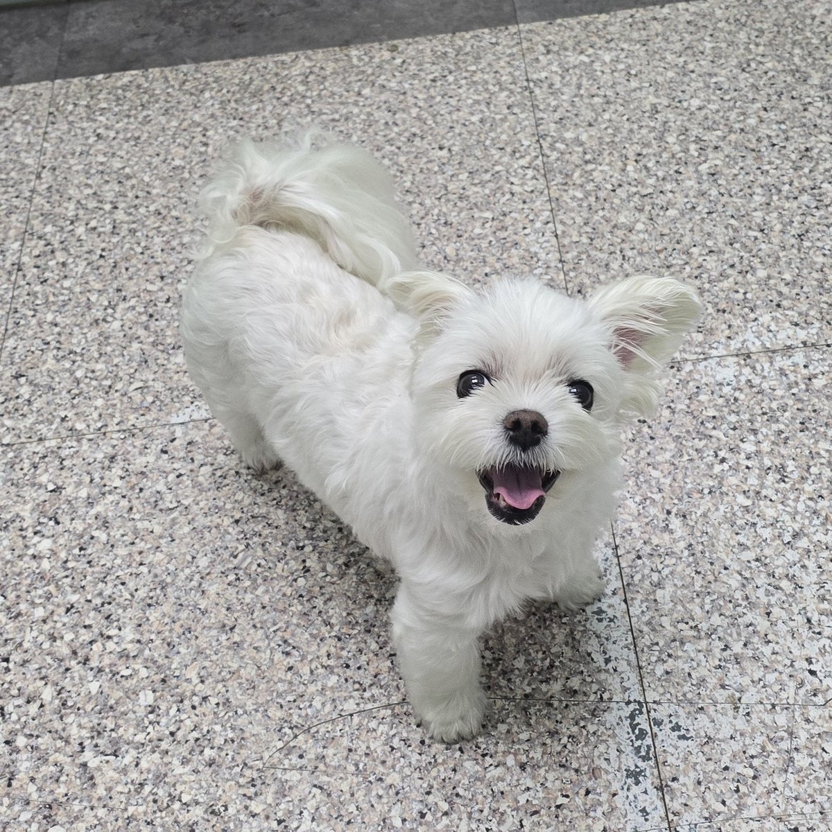 너지금 축축개야
뭐가그렇게좋아