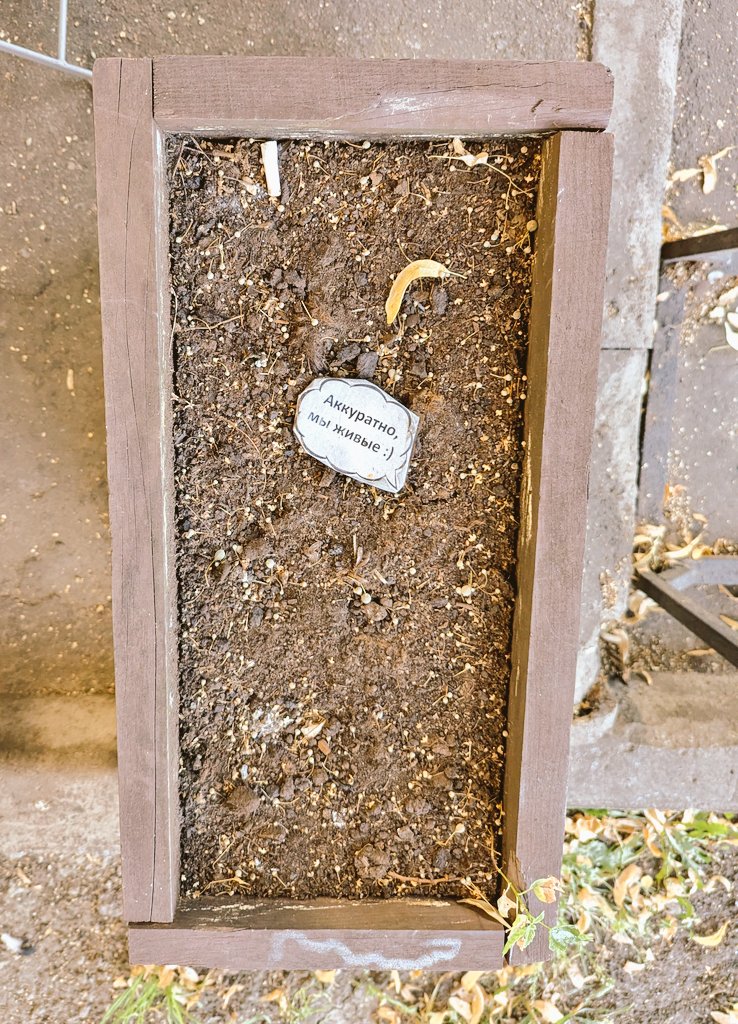 Попиздите мне тут ещё из-под земли