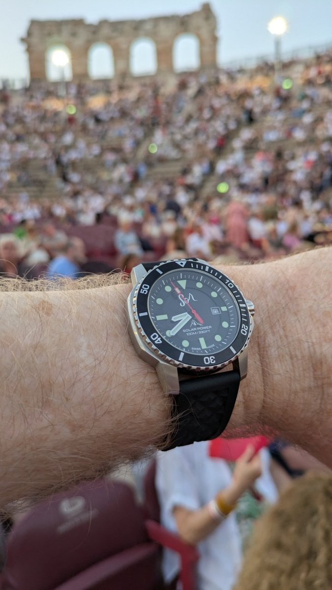 Swiss D1VER Watch tweet media