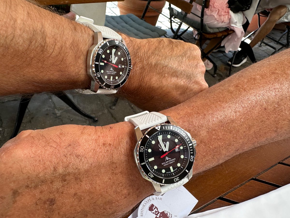 Swiss D1VER Watch tweet media