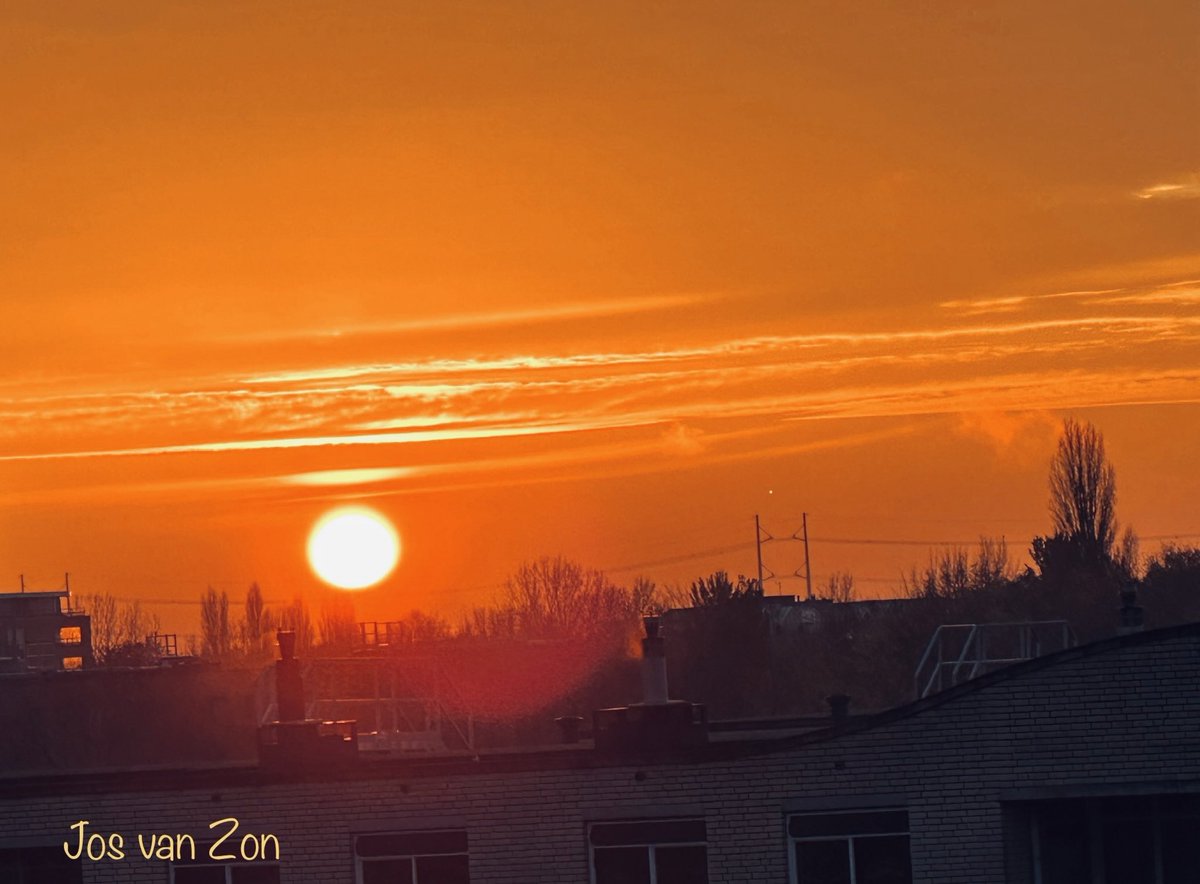 JosVanZon's tweet image. Op #dag13 #beau_gustus een bijdrage uit mijn #hart voor @dthta57 
De #zon komt iedere dag op, bij deze een straaltje voor jullie 😙
Ik roep een ieder op dit ook te doen, als steun in deze moeilijke tijd 🤍
Sterkte.
#Sterkte #wednesdayfeelings #WijDenkenAanJeThea 🌅🌅