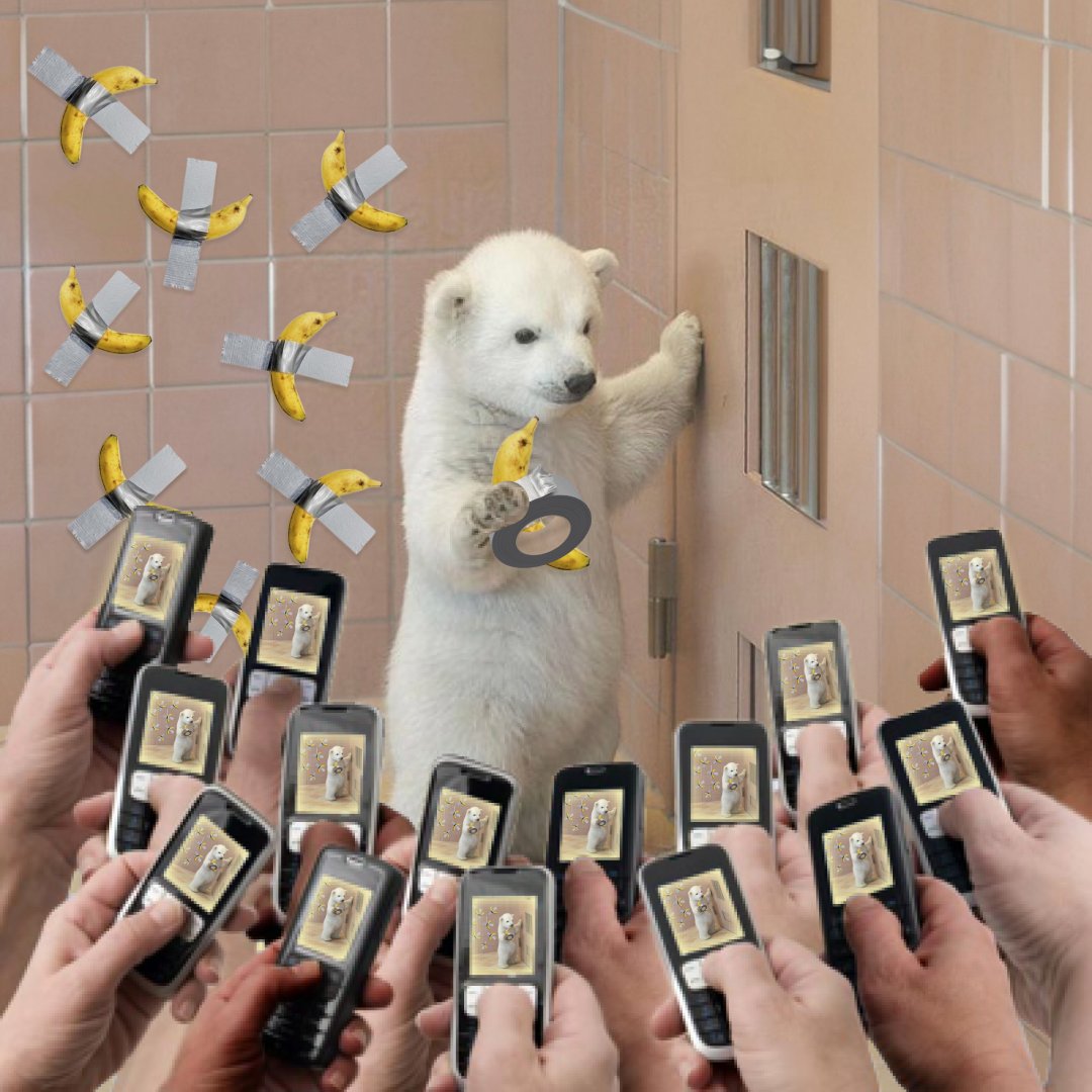 Calm Bear $CHILN tweet media