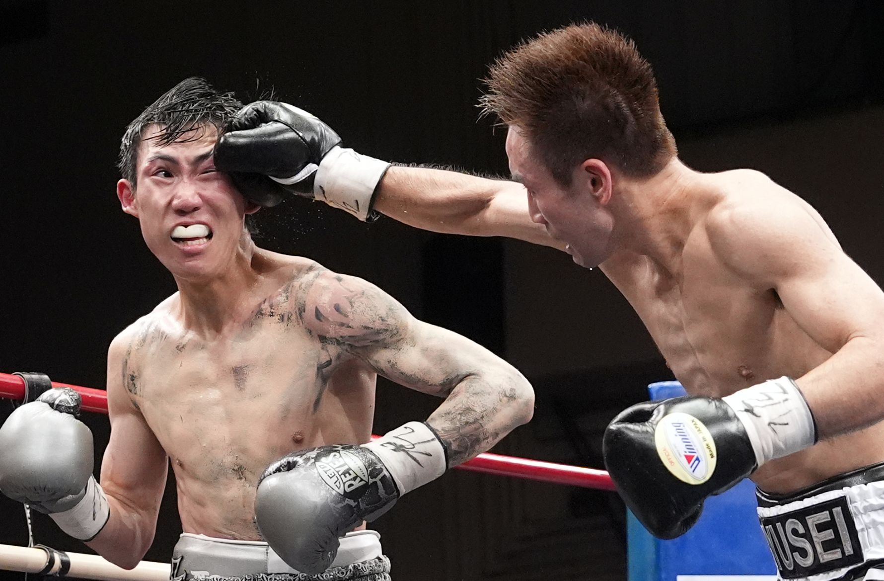 ぽ まとめ200円引き！様MARTIALWORLD15kgプレート2枚 FUJI BOXING (フジボクシング) on X: 