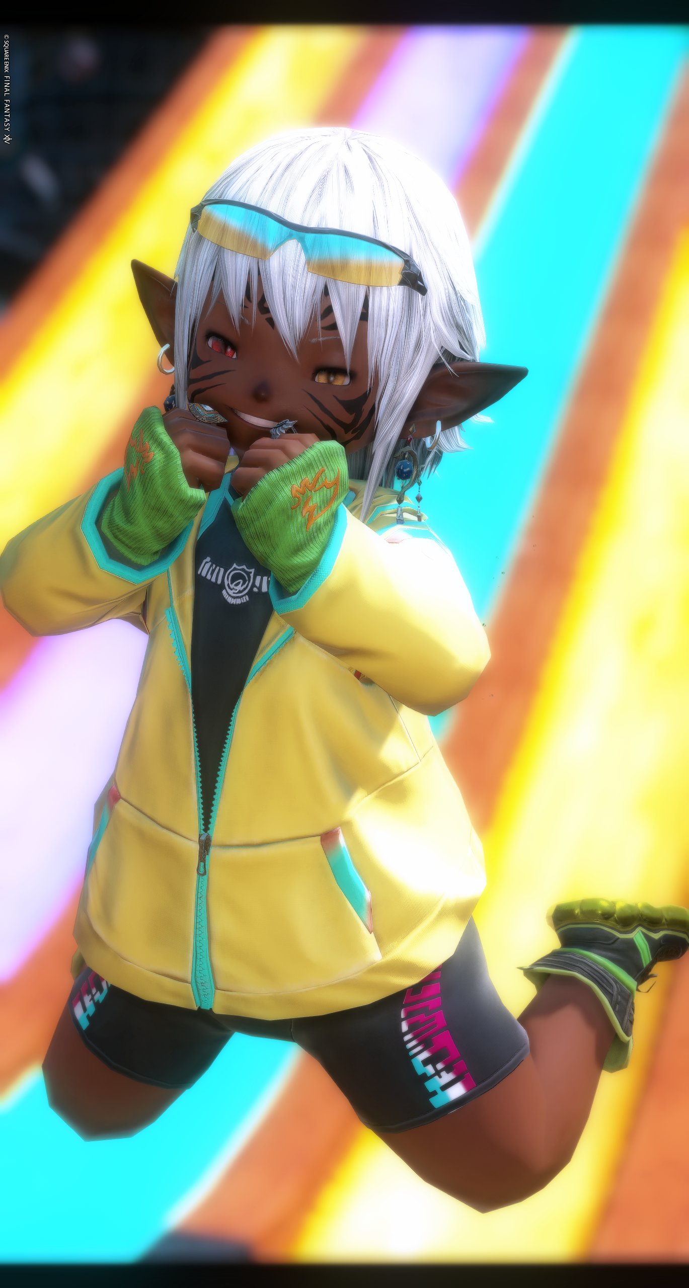 ファンフェス　ff14 グラハ　モーグリ 日本ファンフェス「モーグリキャッチャー」＆「リアルトレジャー