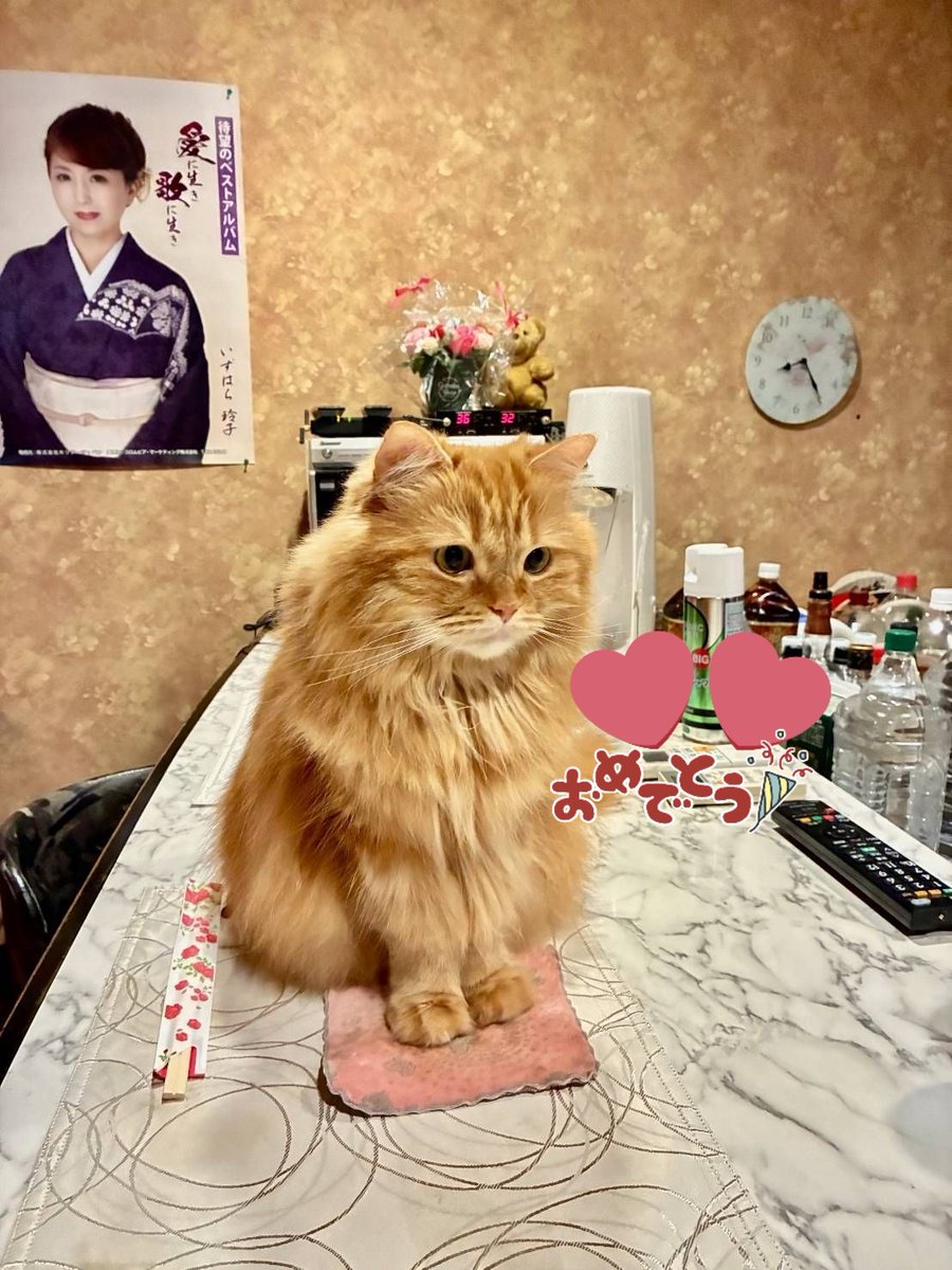 金太郎 - Search / X