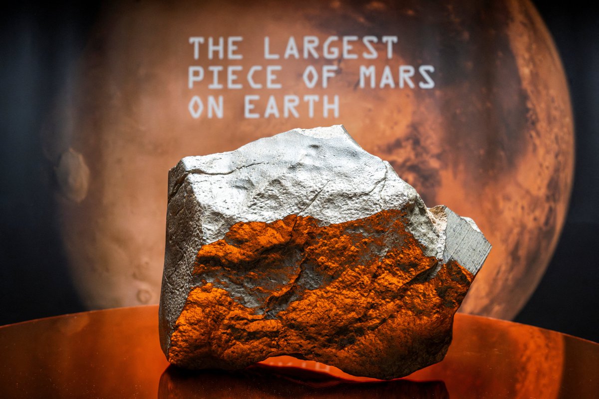 TheRockFromMars's tweet photo. Imagine sending this beautiful piece of rock back to its beautiful planet to then return back to Mars with more humans to colonize it in the future.
The rock must return back home!
#PlanetMars #Mars #Rock #RockFromMars https://t.co/ucIhHZHCSm