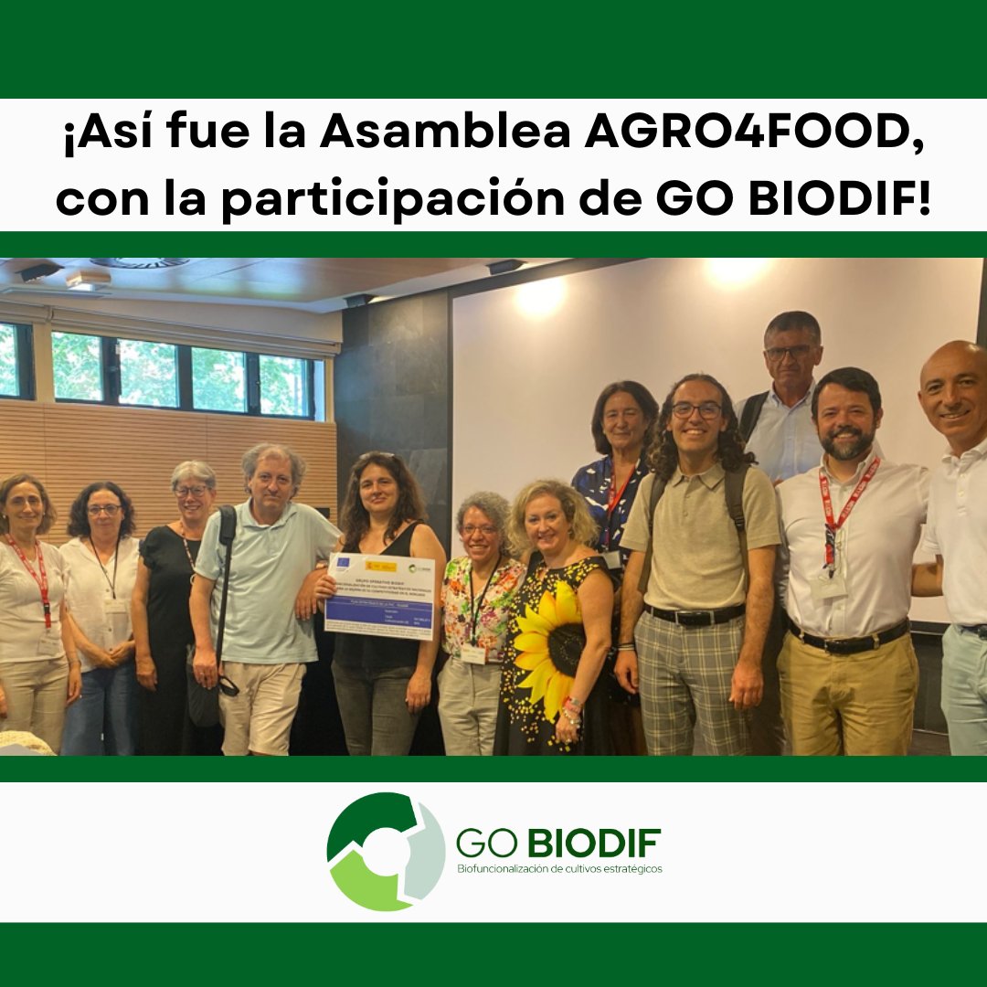 gobiodif's tweet photo. 🌱 ¡Ya puedes descargar las presentaciones de #GOBIODIF en la Asamblea AGRO4FOOD!

💡 Se habló de biofuncionalización de cultivos estratégicos y #GOBIODIF participó desde la visión de divulgación científica.

📄 Presentaciones aquí 👉 https://t.co/eMNW9D4jIr https://t.co/rMx0vL6Sz9