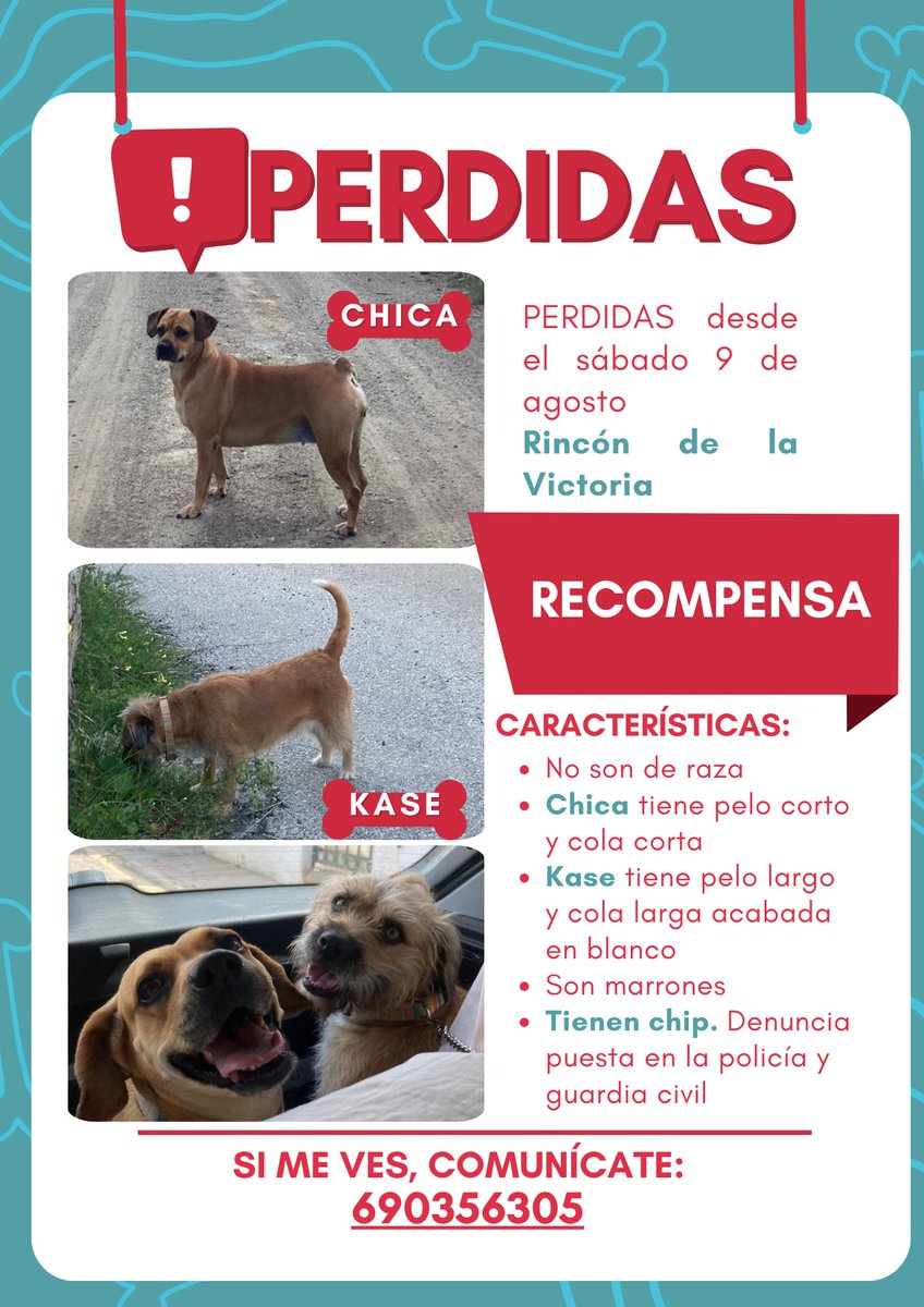 HMalaguenas's tweet image. AYUDA URGENTE.
#RincónDeLaVictoria- #Málaga