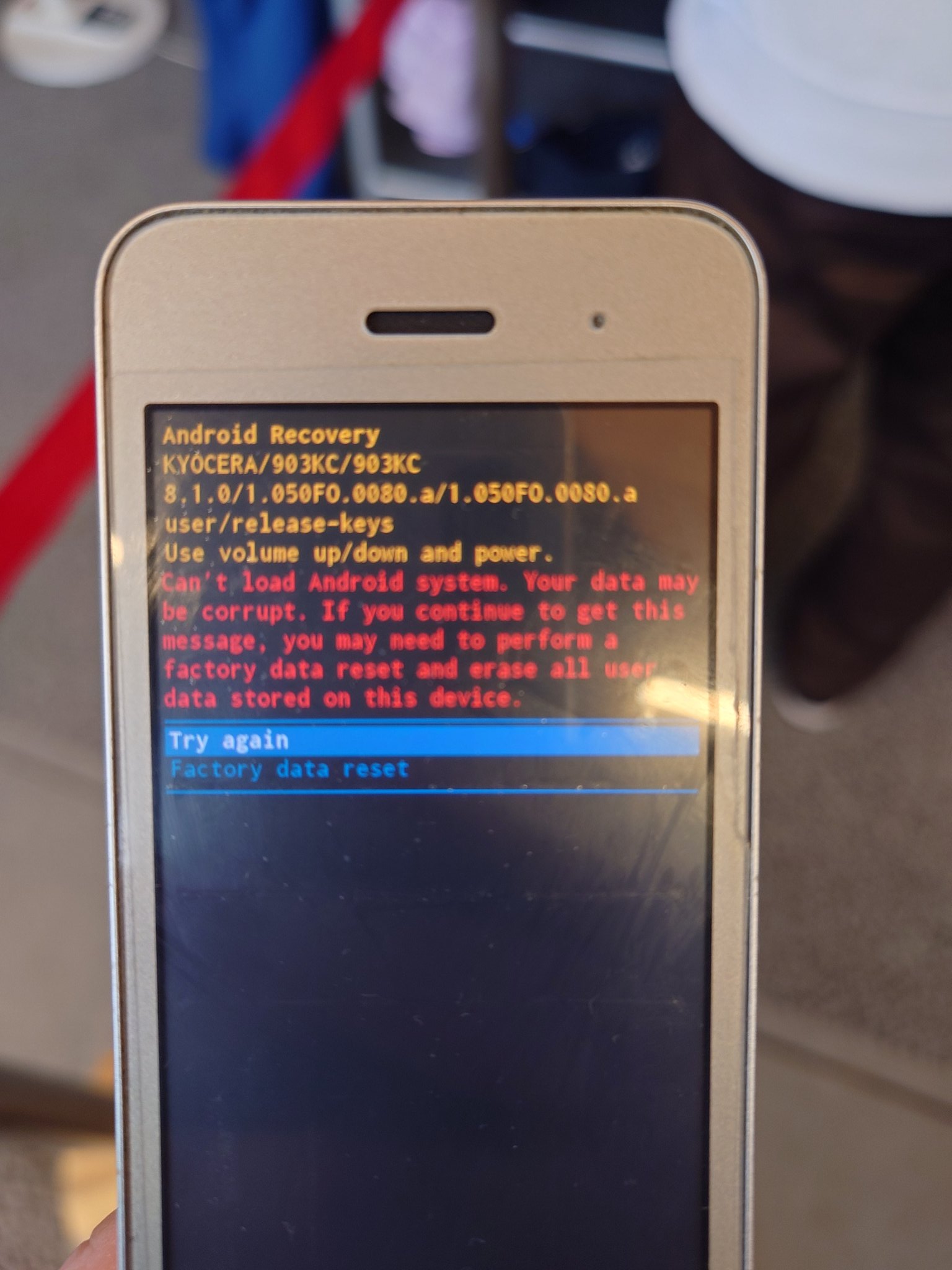 カラ－・カ－ド ＆ 観音カード ＆ 日本の神託カード　３つセット❗️ Doorzo - The ultimate Japan proxy shopping service.