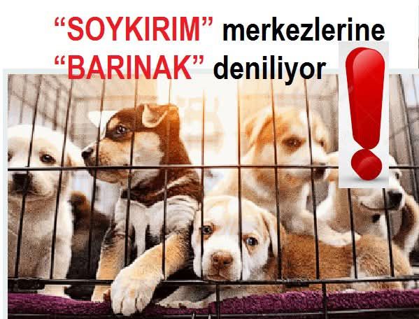 Foter🎩 ⚖️ (@kraldaghan) on Twitter photo 