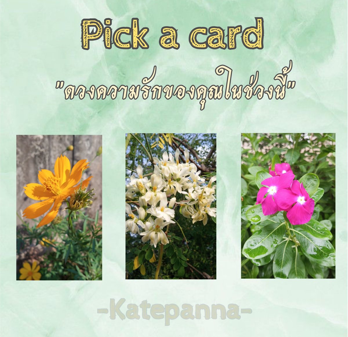 Katepanna's tweet photo. Pick a card By katepanna ✨🌠
สนใจดูดวงส่วนตัว แอดไลน์นะคะ Lineid:kate_1425 🔮
#PickACard #ดูดวงแม่นๆ #ดูดวงไพ่ทาโรต์ #ดูดวงไพ่ยิปซี #ดูดวงฟรี #katepanna https://t.co/XzlOT7fU5C