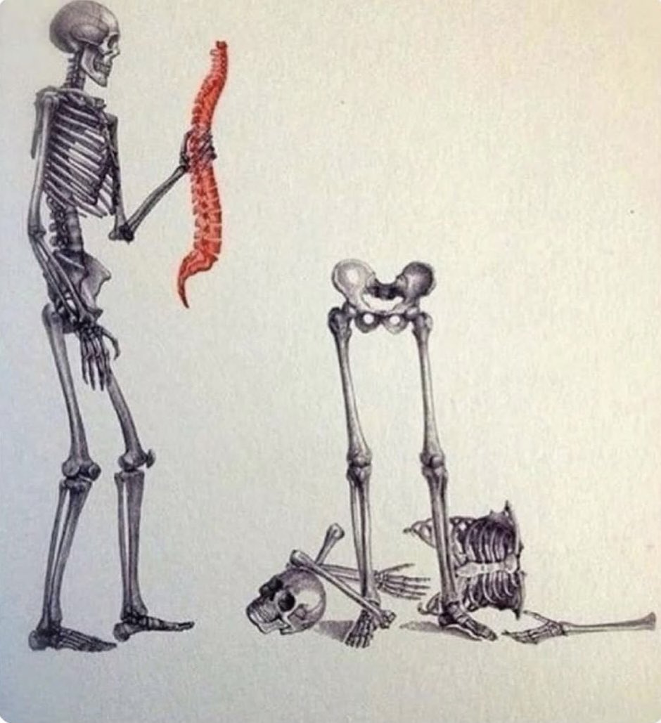 Omurga önemli,sizi ayakta ve dik tutar.
(Konu omurga değil.) 

#ÖzlemÇerçioğlu