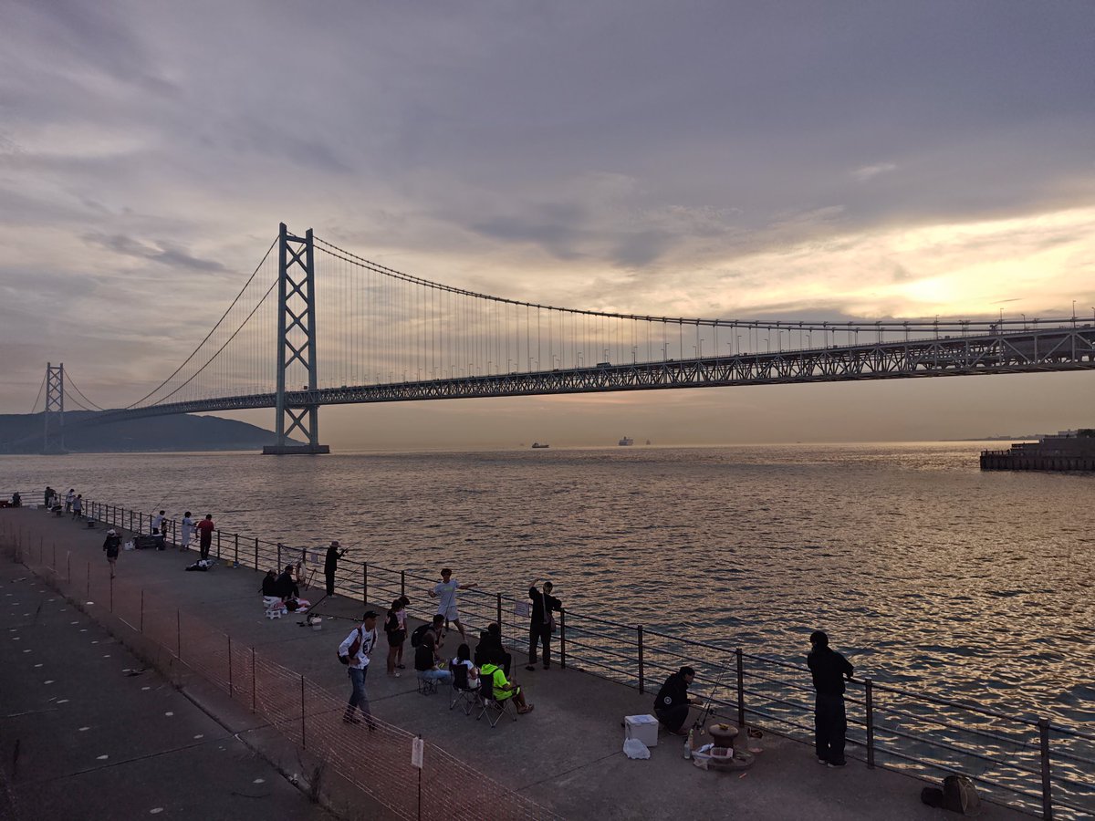 今日は釣り客で賑わっておる。そろそろ海月が増える頃かな😓
