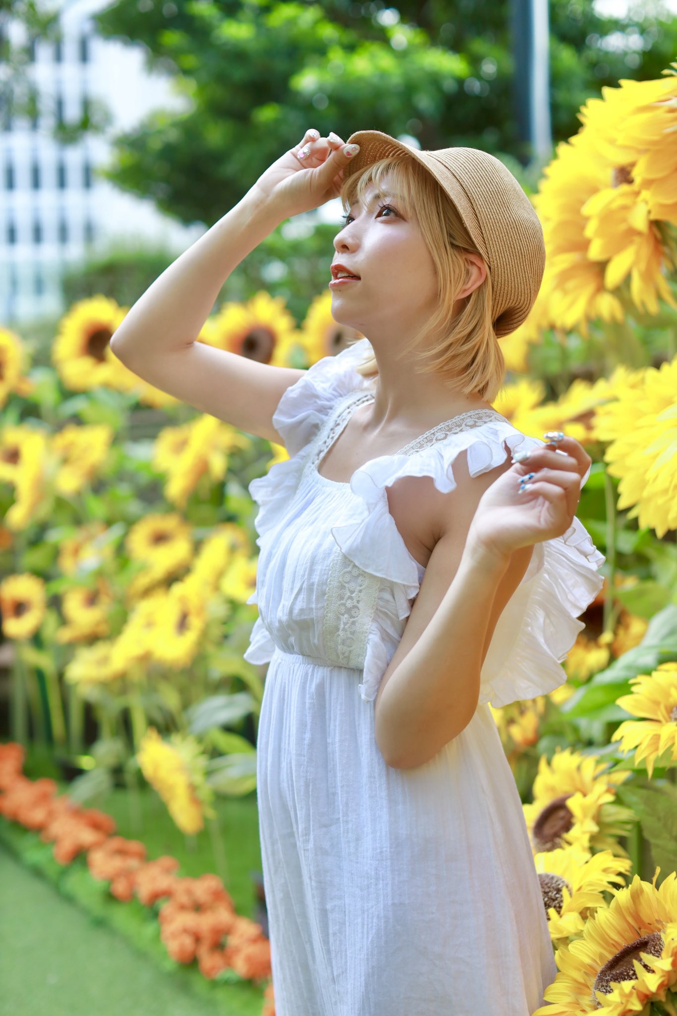 ひまわりページ♡リクエスト＆リピーター様 𝐡𝐢𝐦𝐚𝐰𝐚𝐫𝐢 𝐌𝐢𝐝 𝐆𝐚𝐫𝐝𝐞𝐧 ⋆⸜🌻⸝‍⋆ 2000本の