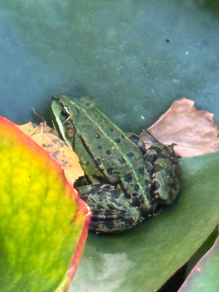 Zal ik hem kussen ? 😜