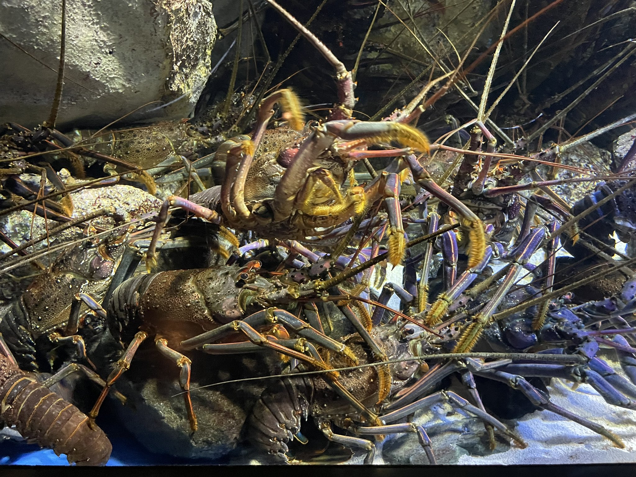 鳥羽水族館 鳥羽水族館／ホームメイト
