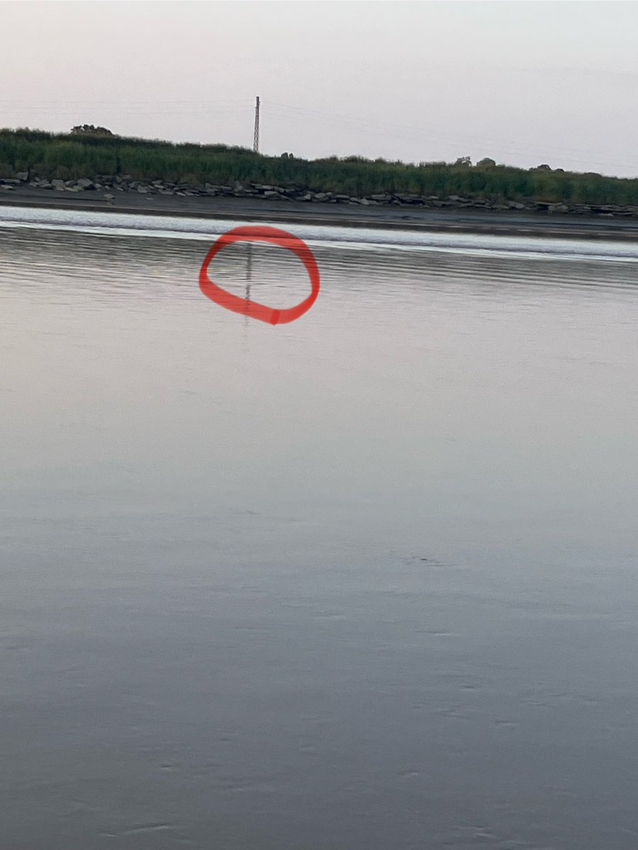 Matt Hart tweet media