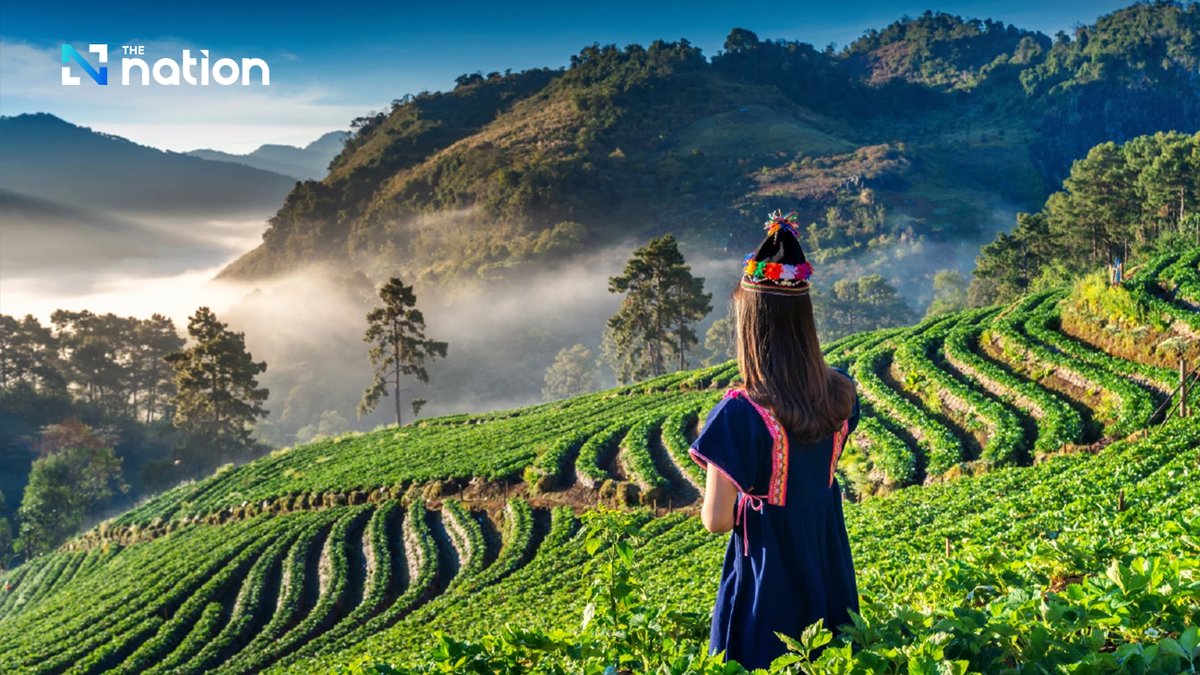 Thenationth's tweet image. Thailand's Chiang Rai Named Second Safest City for Female Digital Nomads

#Thailand #Safety #ChiangRai #DigitalNomad #Tourism #Travel #TheNationThailand

Read more : nationthailand.com/life/travel/40…